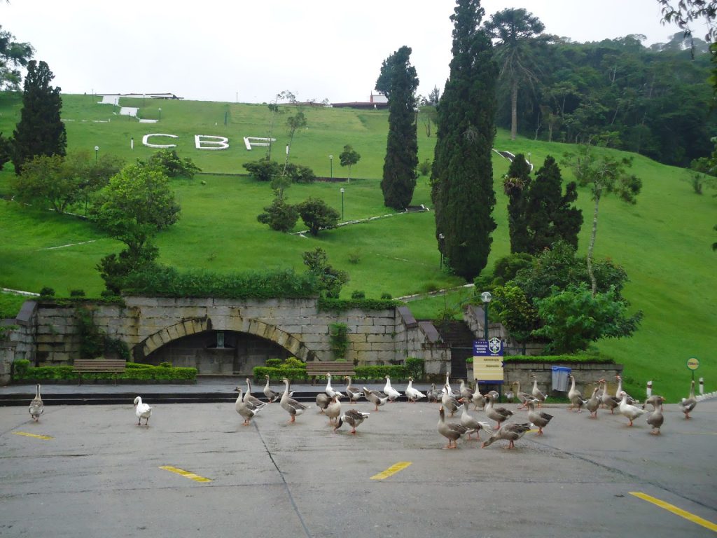 Granja Comary, onde fica o Centro de Treinamento da CBF