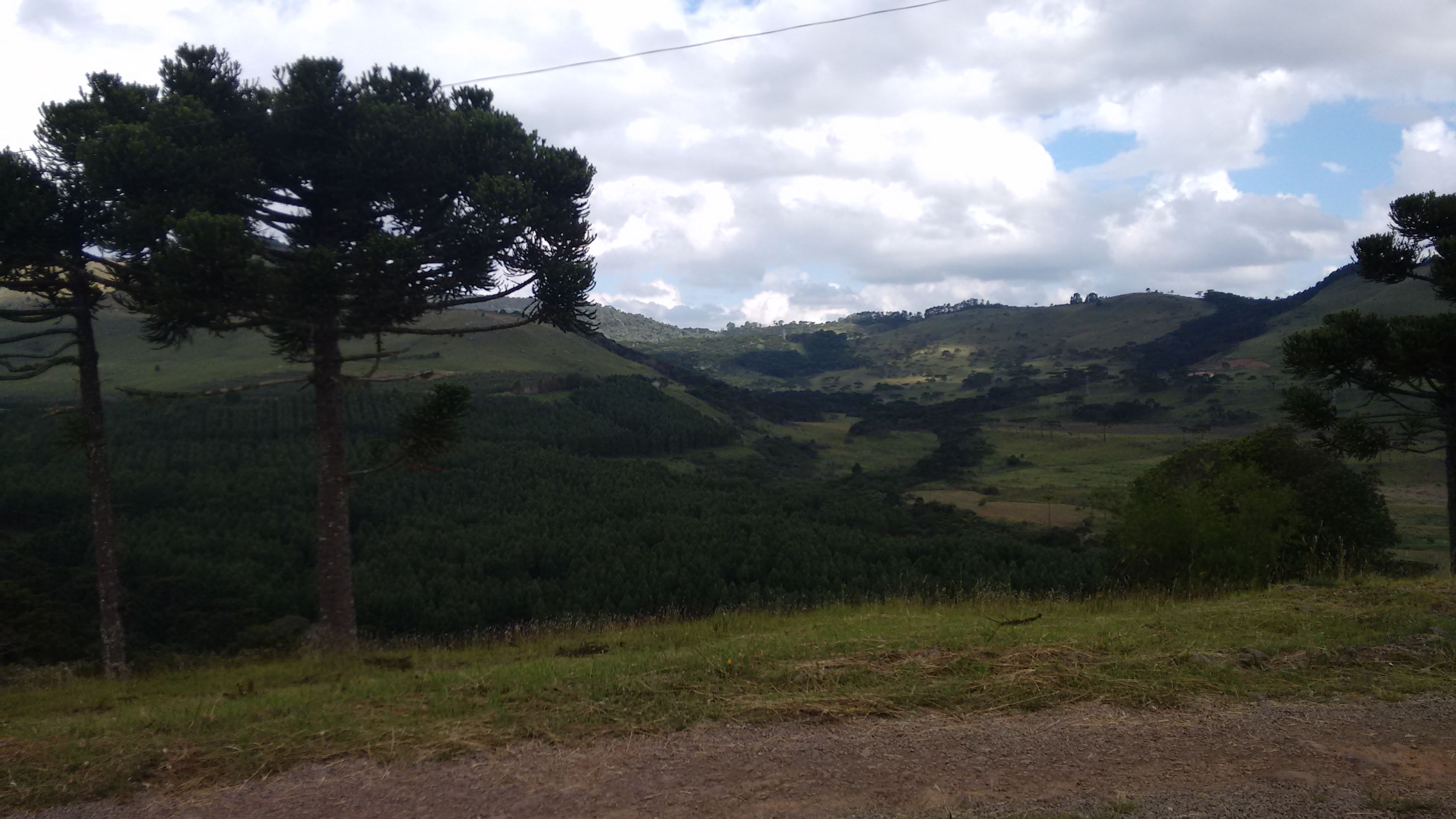 Lages a Capital Nacional do Pinhão Araucárias lages-sc-2