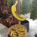 Luiz Alves a terra da cachaça - Festa da Banana