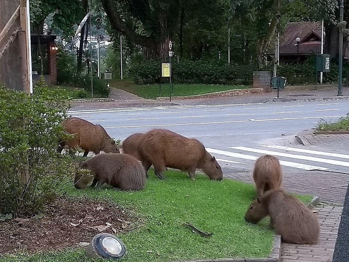 Museu da Cerveja Blumenau