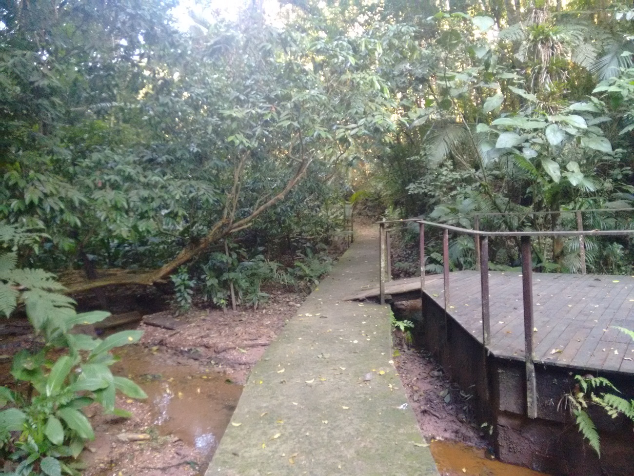 Parque São Francisco de Assis Blumenau