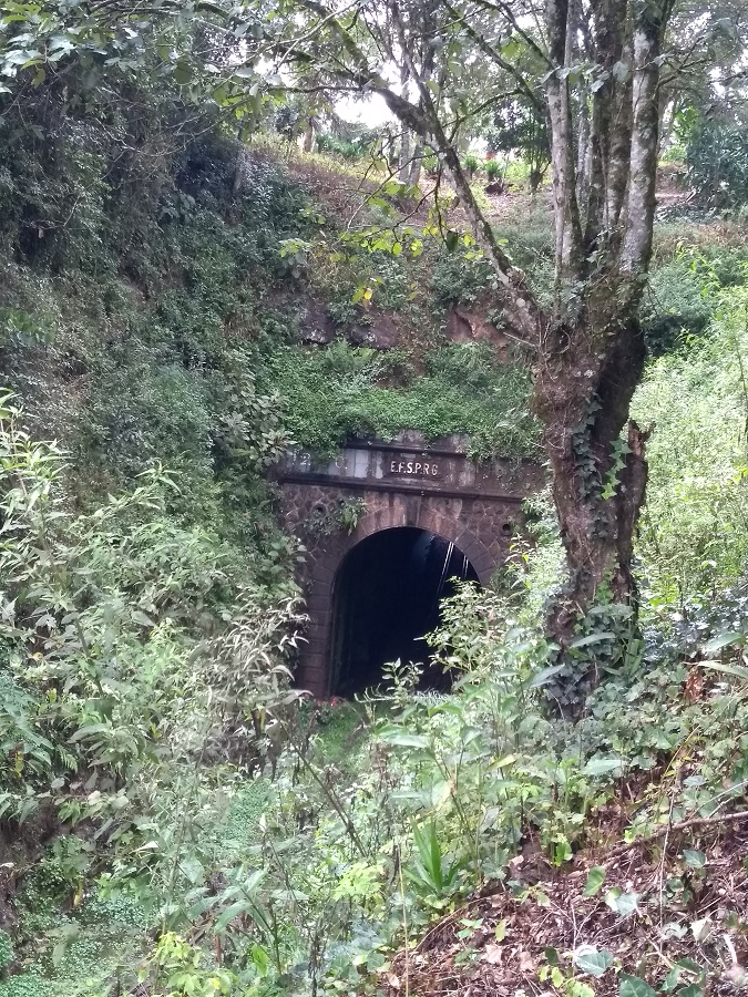 Pinheiro Preto Santa Catarina Túnel Ferroviário