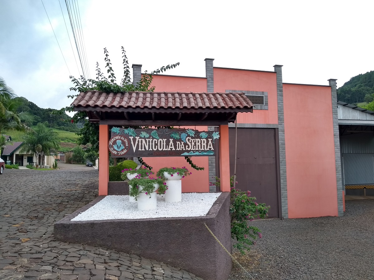 Pinheiro Preto Santa Catarina Vinícola da Serra