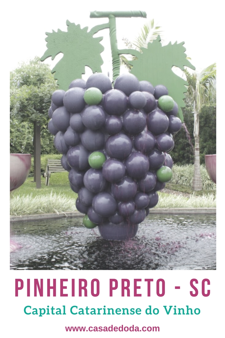 Conheça Pinheiro Preto, capital catarinense do vinho Casa de Doda