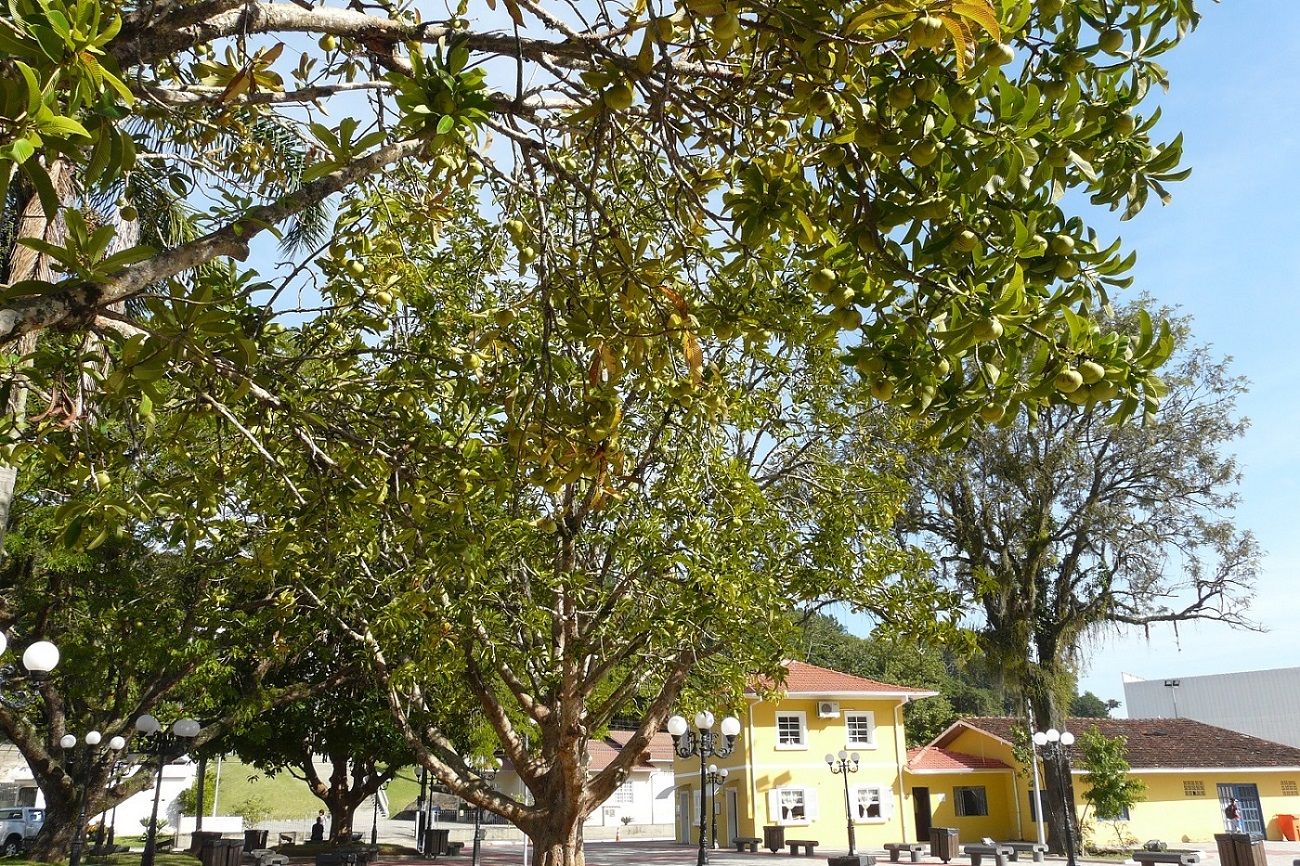 Praça do Pescador da Barra