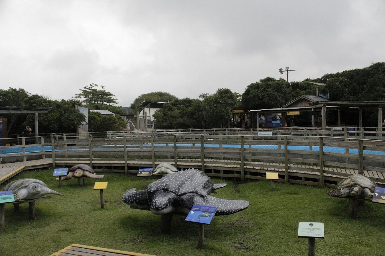 Projeto Tamar Florianópolis