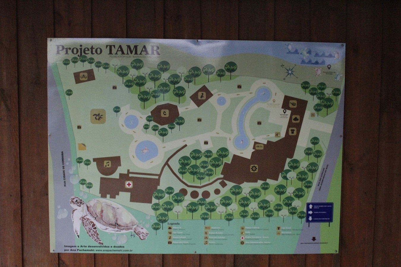 Projeto Tamar Florianópolis