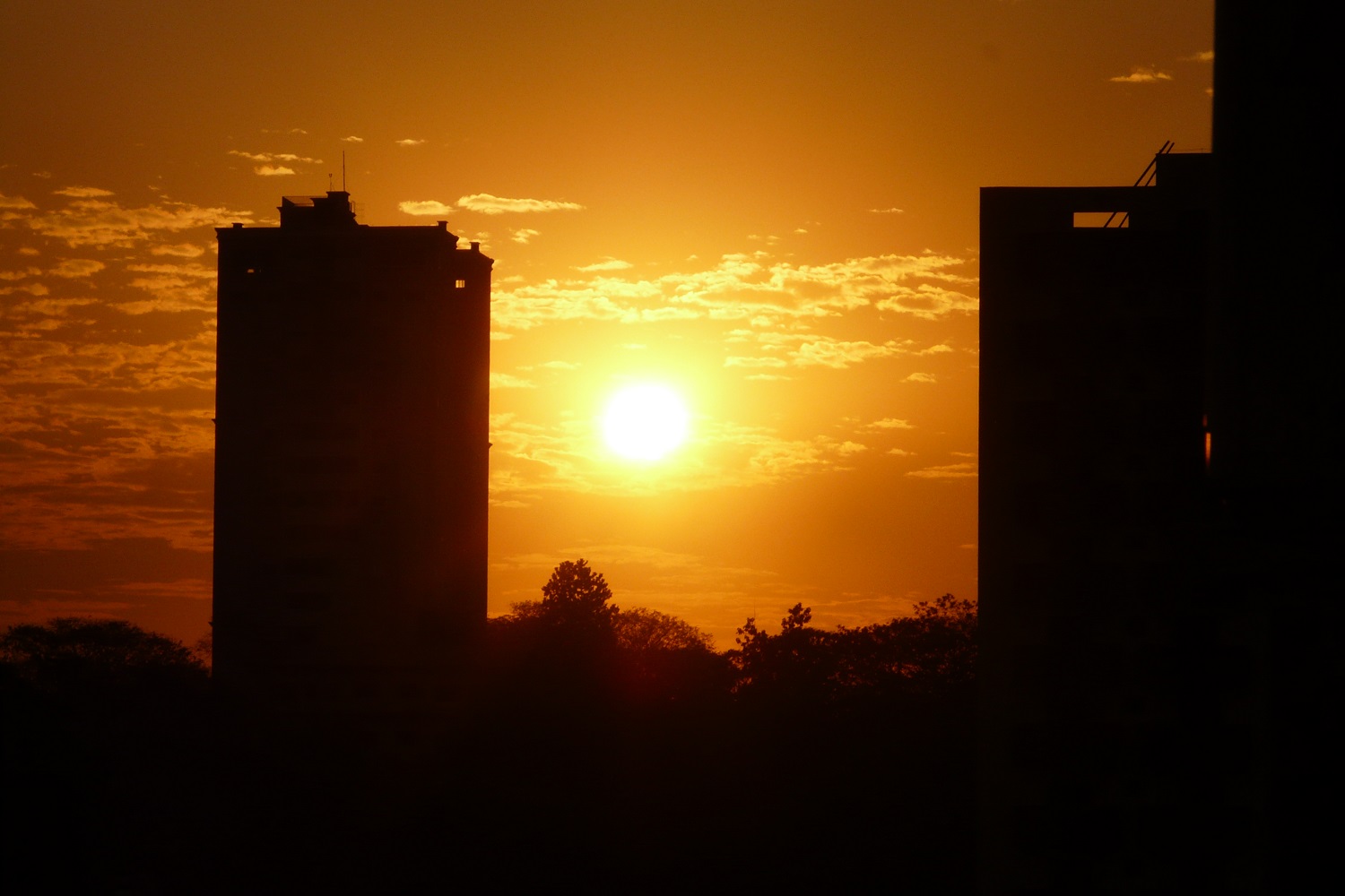 O que fazer em Foz do Iguaçu