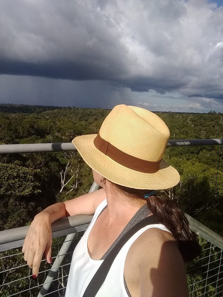MUSA- Museu da Amazônia Manaus vista da floresta