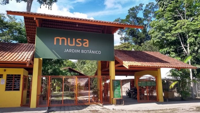 MUSA- Museu da Amazônia Manaus