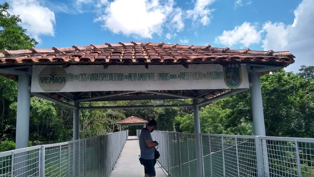 Zoológico do CIGS Passarela dos Felinos