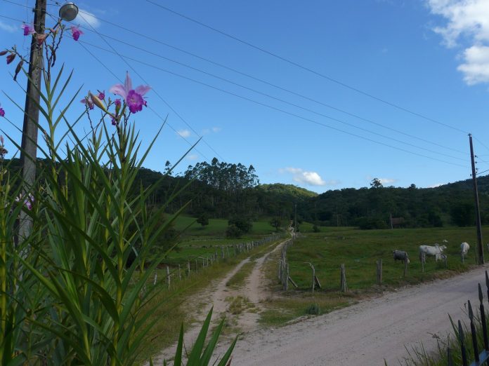 Gaspar o que fazer na cidade dos parques aquáticos Casa de Doda